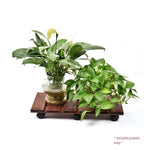 Wooden Tray Universal Wheel Flowerpot Tray Rectangular Roller Flowerpot Mobile Base 60x30cm